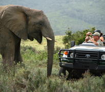 Game drives